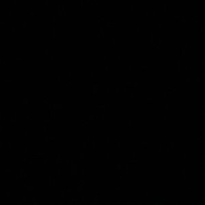 Meet your Posher, Gabriella